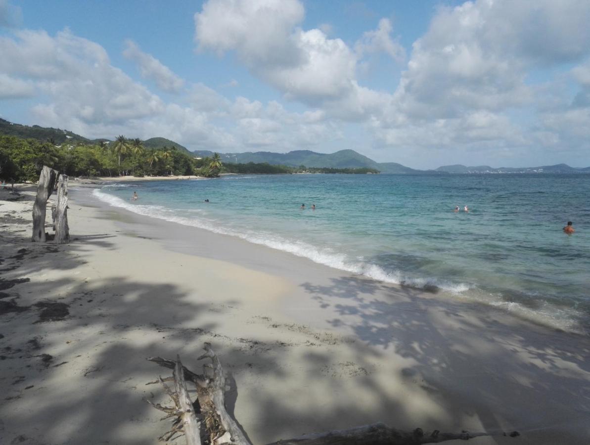 Studio - Le Ti-Colibri - Plages Et Piscine A Sainte-Luce - Martinique - Antilles Екстериор снимка
